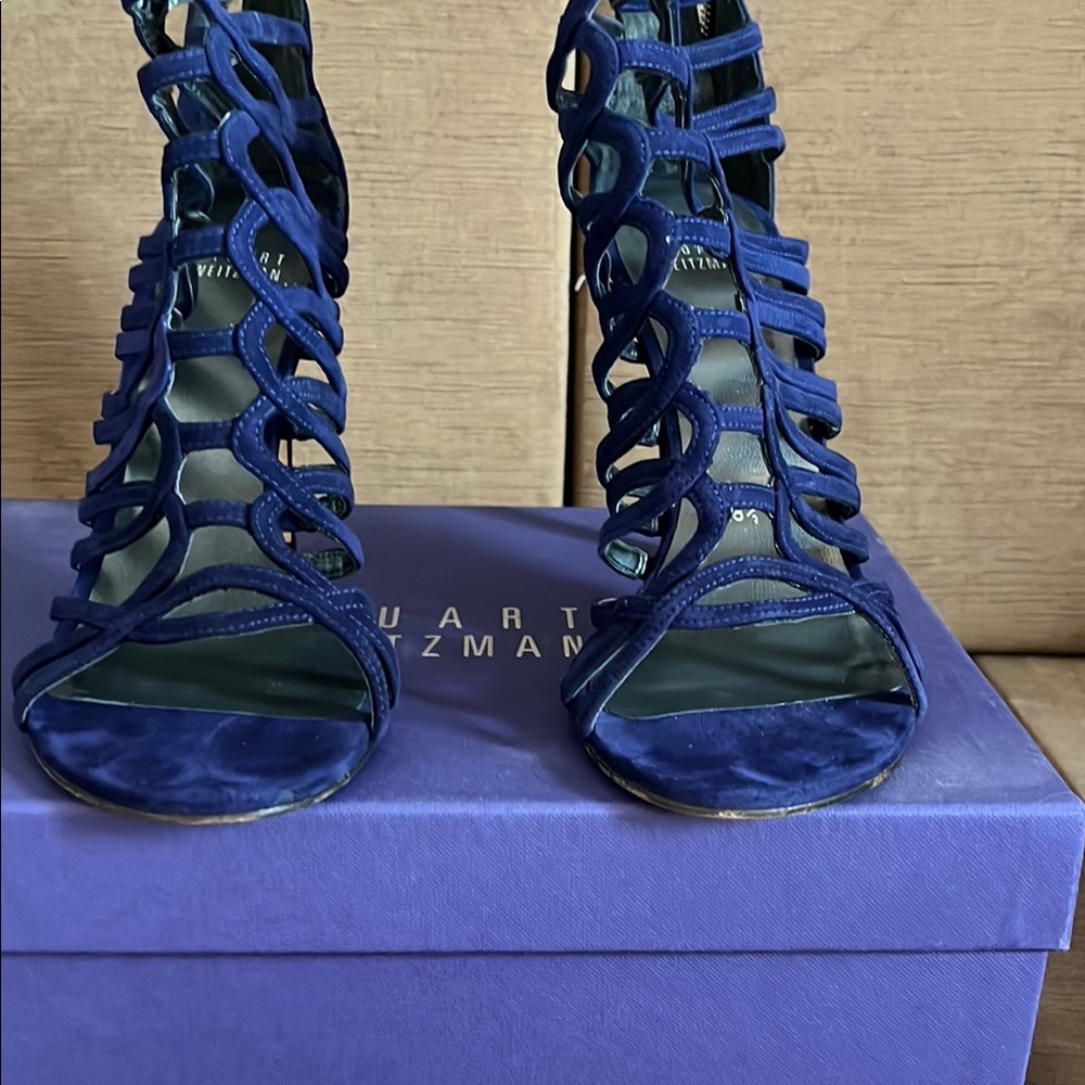 Stuart Weitzman Blue Elegant Heels